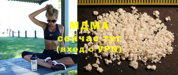 PSILOCYBIN Алзамай