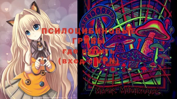 мяу мяу мука Алексеевка